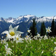 Image for article titled By Tent, Trailer or an RV: Some of the Best Places to Camp